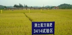 測土配方施肥儀生產廠家哪家好