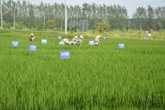 新型土壤分析儀測土壤和植物的養分